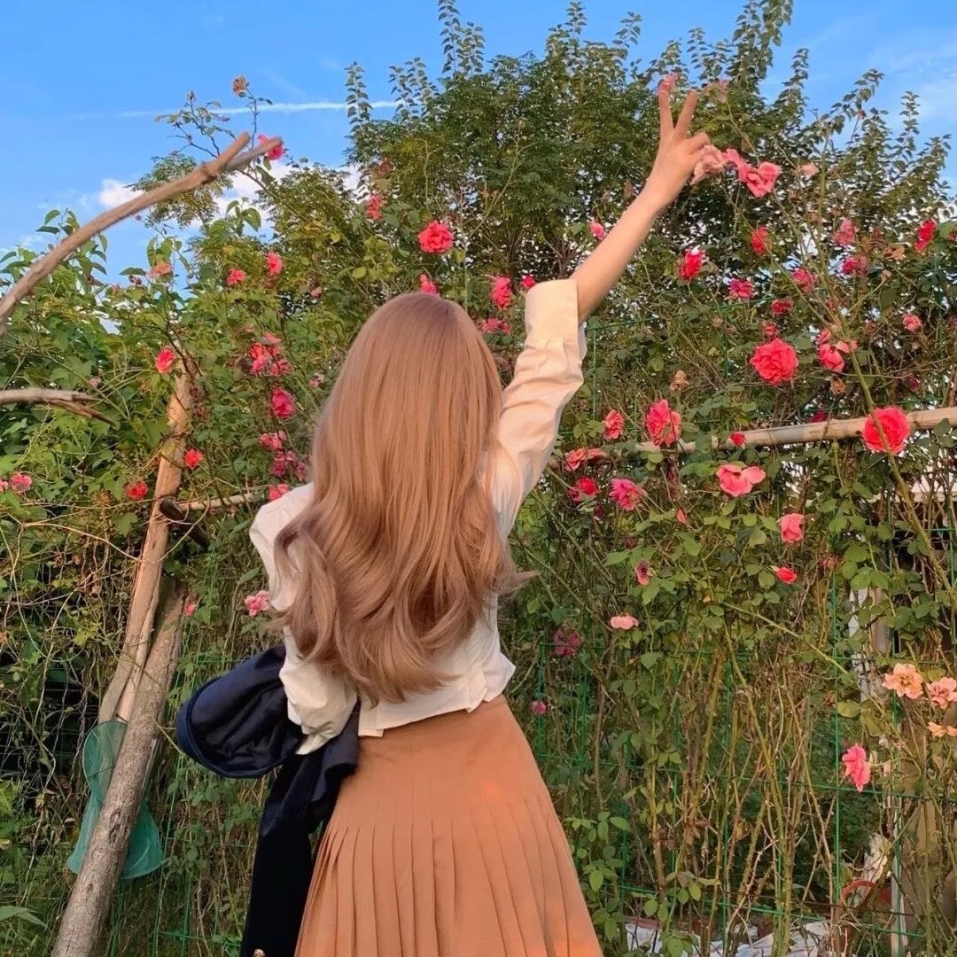 立花登青春备忘录